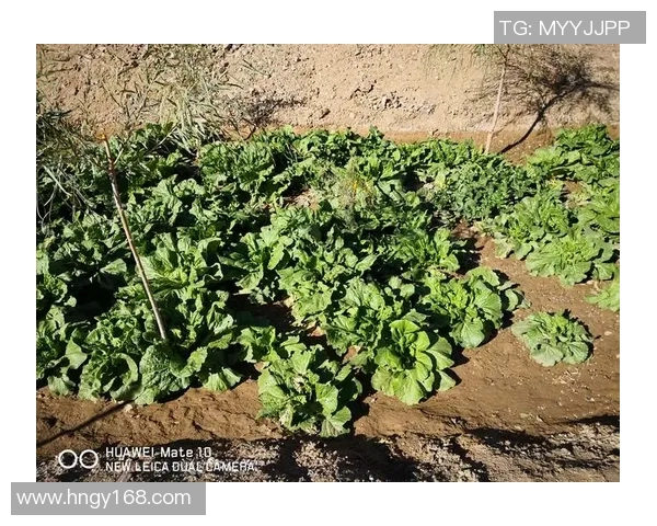 深度对话：吴伟在CSGO世界中的成长与挑战之路